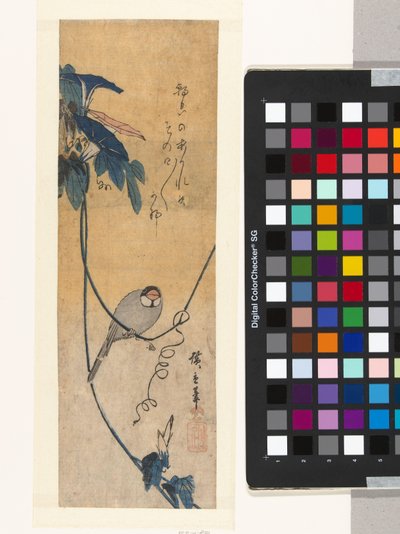Uccello e convolvolo blu da Hiroshige (I) , Utagawa