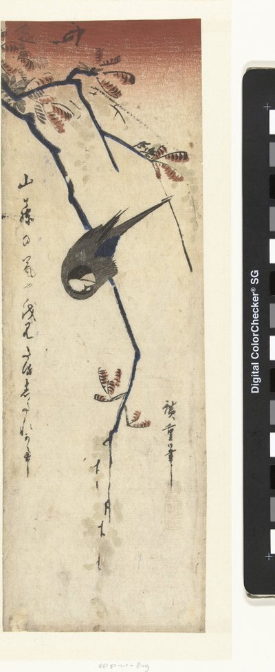 Uccello e glicine da Hiroshige (I) , Utagawa
