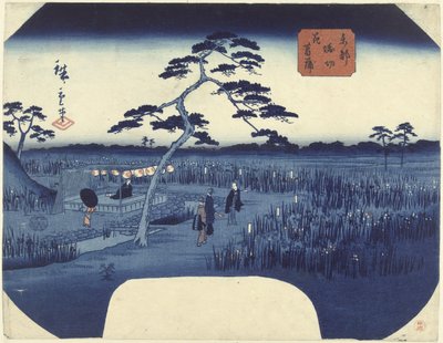 Iris in fiore a Horikiri nella capitale orientale da Hiroshige (II) , Utagawa