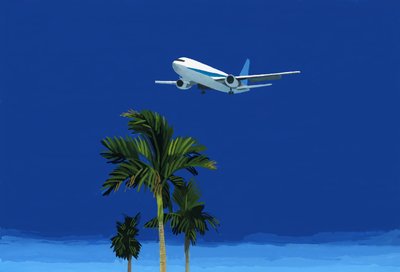 Aereo e Palma da Hiroyuki Izutsu
