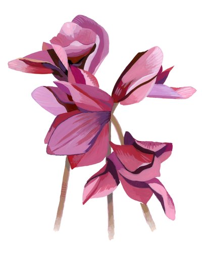 Ciclamino da Hiroyuki Izutsu