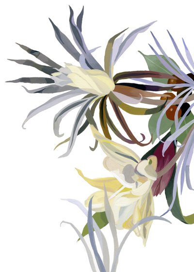 Fiori eleganti simili a barba da Hiroyuki Izutsu