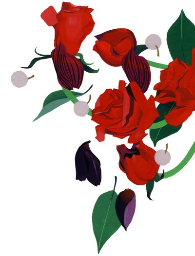 Rosa rossa da Hiroyuki Izutsu