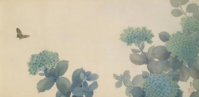 Ortensie da Hishida shunso