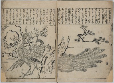 Una collezione di fiori e uccelli (Kacho zukushi) da Hishikawa Moronobu