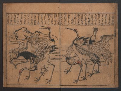 Illustrazioni di uccelli e fiori (Kachō e-zukushi) da Hishikawa Moronobu
