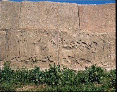 Veduta della base dei rilievi della Porta della Sfinge da Hittite Hittite