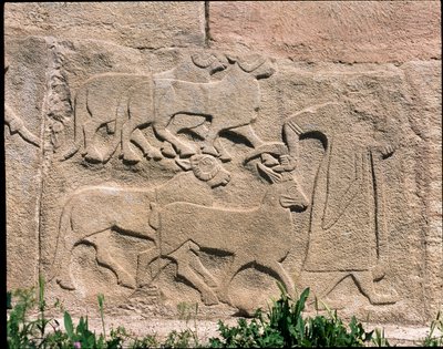 Veduta della base dei rilievi della Porta della Sfinge da Hittite Hittite