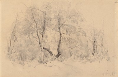  da Hjalmar Munsterhjelm