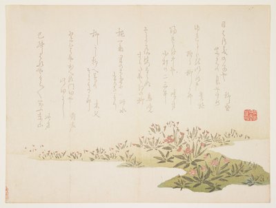 Viole, c.1848-53 da Ho Shu