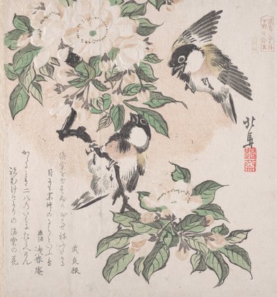 Collezione Pioggia di primavera Harusame shu, vol. 3: Cinciallegre e fiori di melo da Hokuba