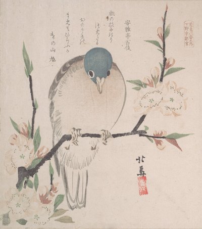 Collezione Pioggia di primavera Harusame shu, vol. 3: Colomba di montagna e fiori di pesco da Hokuba