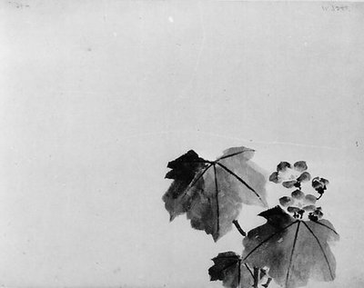 Campanula da Hokusai School.