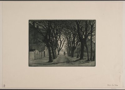Viale da Holger Valdemar Rasmussen Magaard