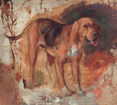 H.Hunt, Studio di un bloodhound da Holman Hunt