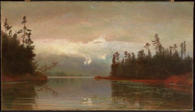 A Lago North Woods da Homer Dodge Martin