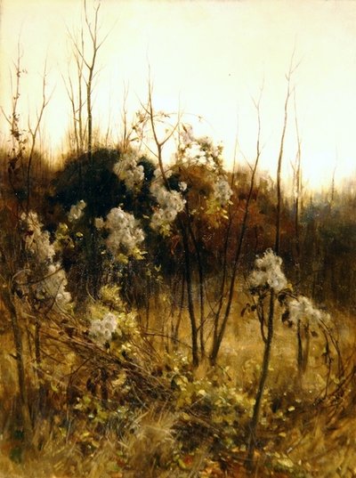 Gioia dei viaggiatori da Hon. Walter John James