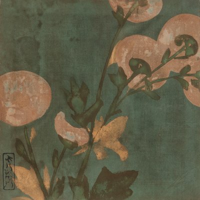 Crisantemi, periodo Edo, fine XVI-inizio XVII secolo da Hon