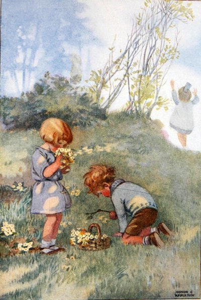 Illustrazione da 