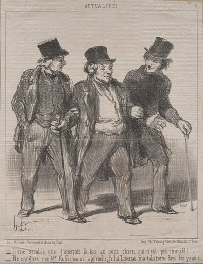 Attualità n. 7: Mi sembra di notare un cagnolino lì che non è museruolato!..., 1852 da Honoré Daumier