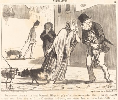 Questi poveri animali... non si riconoscono più... da Honoré Daumier