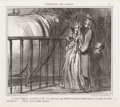 Esposizione di animali: Pl. 5, La mucca-elefante, nuova varietà da Honoré Daumier