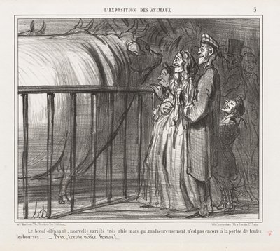 Esposizione di Animali: La Mucca-Elefante, Nuova Varietà da Honoré Daumier