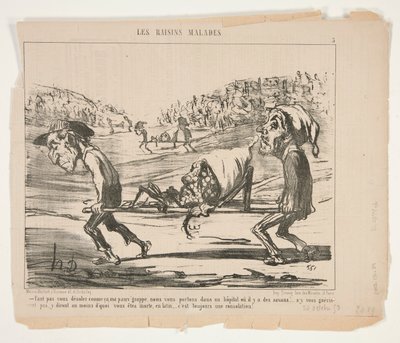 Non dovete disperarvi così, mia povera da Honoré Daumier