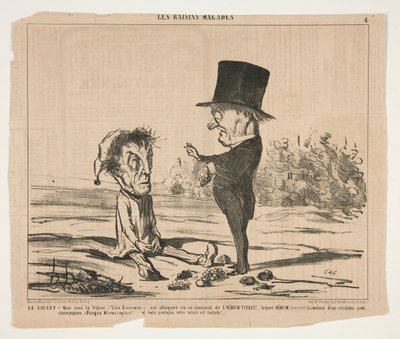 Il Sapiente - Amico mio, la Vite, (Vitis Linnoeus.), è attaccata in questo momento da Honoré Daumier