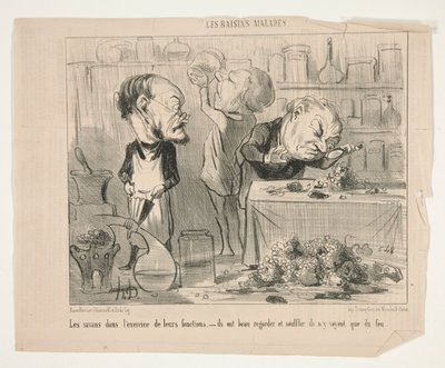Gli studiosi nel da Honoré Daumier