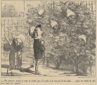 Le mie povere ragioni, se non tornate al salto ... da Honoré Daumier