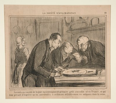Scienziati al culmine della gioia contemplando il primo piccolo coccodrillo da Honoré Daumier