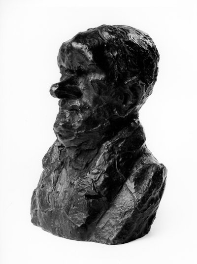 I busti caricati delle "Celebrità del Giusto Mezzo". Caricatura di Auguste Ganneron, deputato e industriale. Il timido. Scultura di Honore Daumier da Honoré Daumier