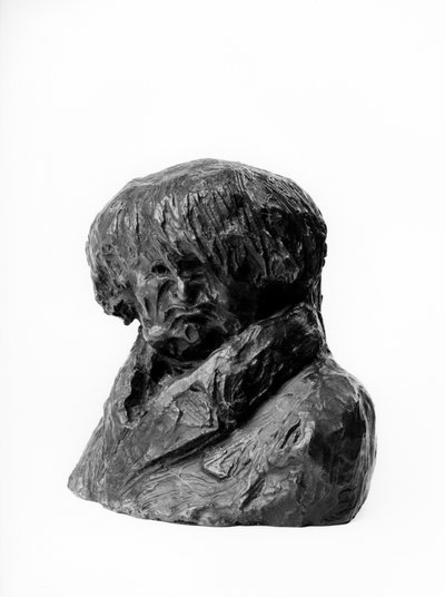 I busti caricati delle "Celebrità del Giusto Mezzo". Caricatura di Clement Prunelle, medico, deputato e sindaco di Lione. Scultura di Honore Daumier da Honoré Daumier