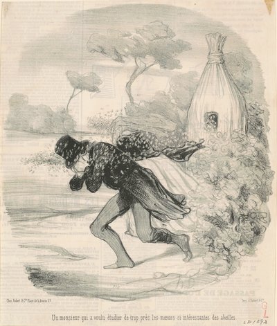 Un signore che voleva studiare ... i costumi ... delle api da Honoré Daumier