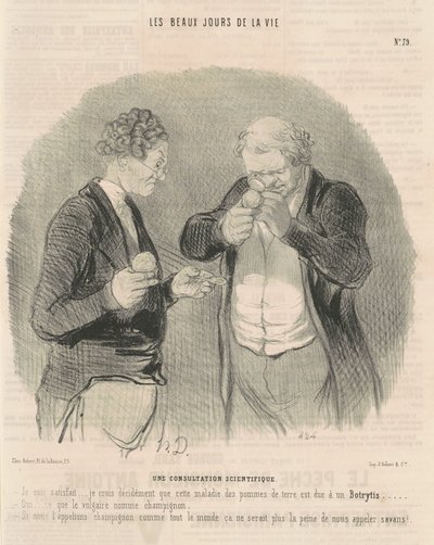 Una consultazione scientifica da Honoré Daumier