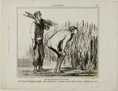 Le preoccupazioni di un viticoltore. "- Siamo scampati al gelo..... ora dobbiamo solo preoccuparci del sole, della pioggia, della muffa della vite e di tutto il resto...", piatto 397 da Actualités da Honoré Victorin Daumier
