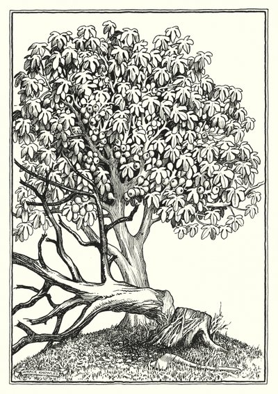 Illustrazione del Discorso della montagna (incisione) da Horace J. Knowles