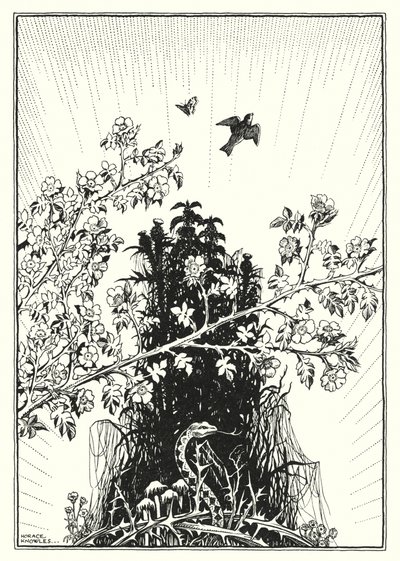 Illustrazione del Discorso della montagna (incisione) da Horace J. Knowles