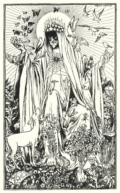 Pettirosso (litografia) da Horace J. Knowles