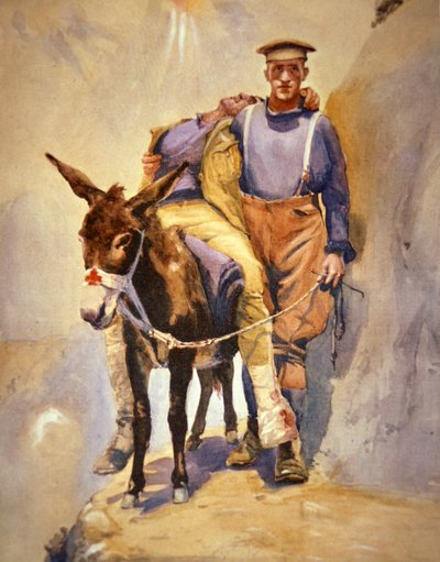 John Simpson Kirkpatrick della 3ª Ambulanza da Campo Australiana che con il suo asino ha salvato soldati feriti a Gallipoli nel 1915 da Horace Moore Jones