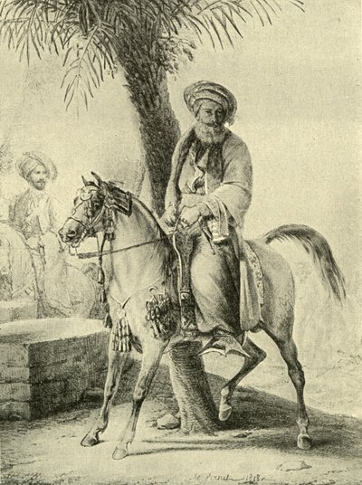 Muhammad Ali d