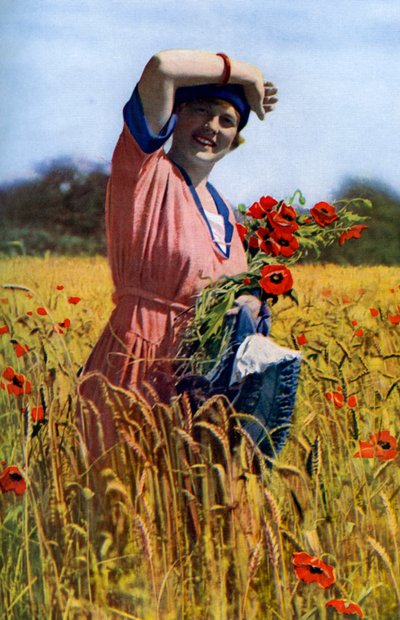 La rosa inglese, c1922 da Horace Walter Nicholls
