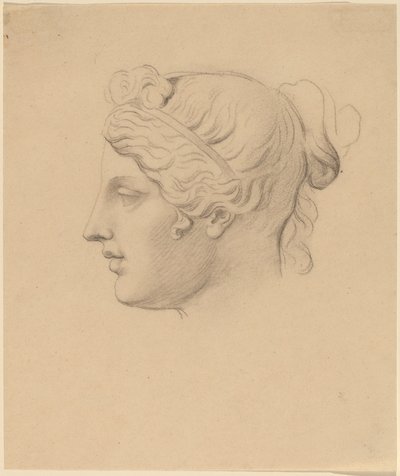 Testa classica di profilo da Horatio Greenough