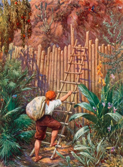Illustrazione per Robinson Crusoe da Howard Davie