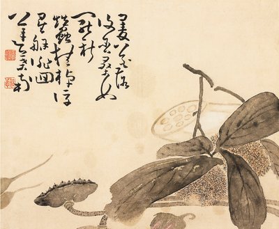 Foglia di album dipinta - Pianta di loto, XVIII secolo da Huang Shen
