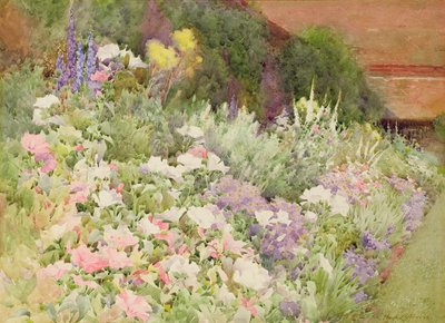 Un bordo erbaceo da Hugh L. Norris