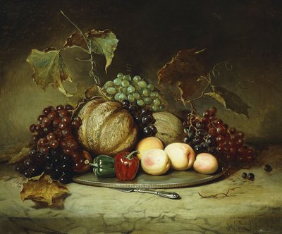 Natura morta abbondante, 1855 da Hugh Newell
