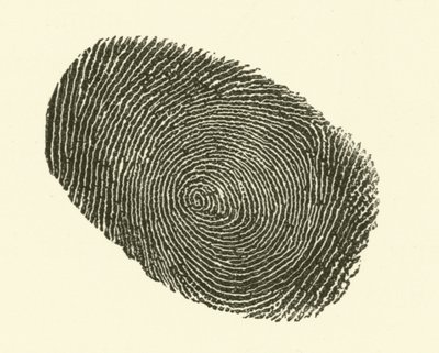 Impronta digitale da Hugh Rowley