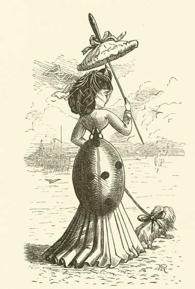 Coccinella da Hugh Rowley